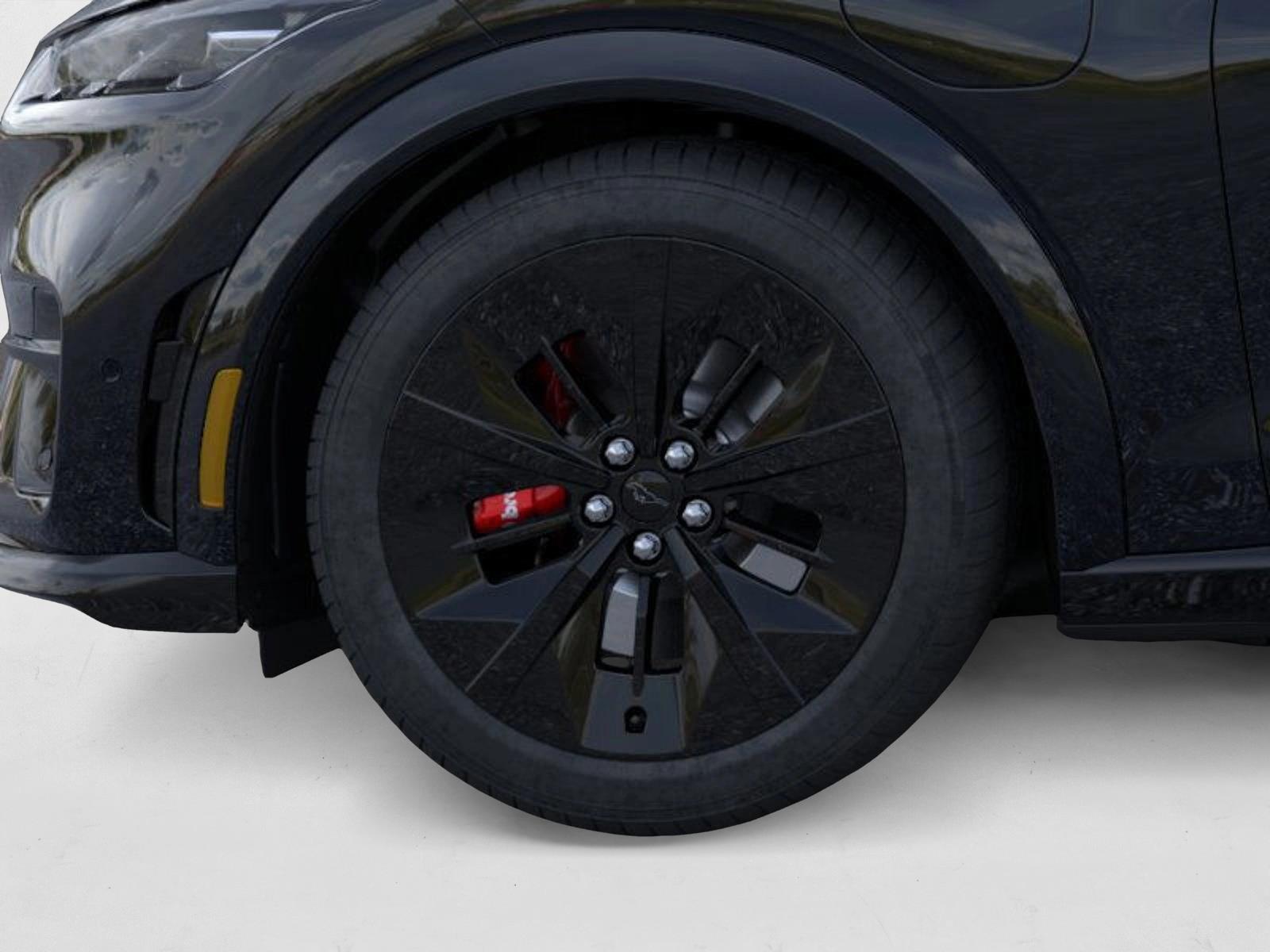 2025 Ford Mustang Mach-E GT photo 17