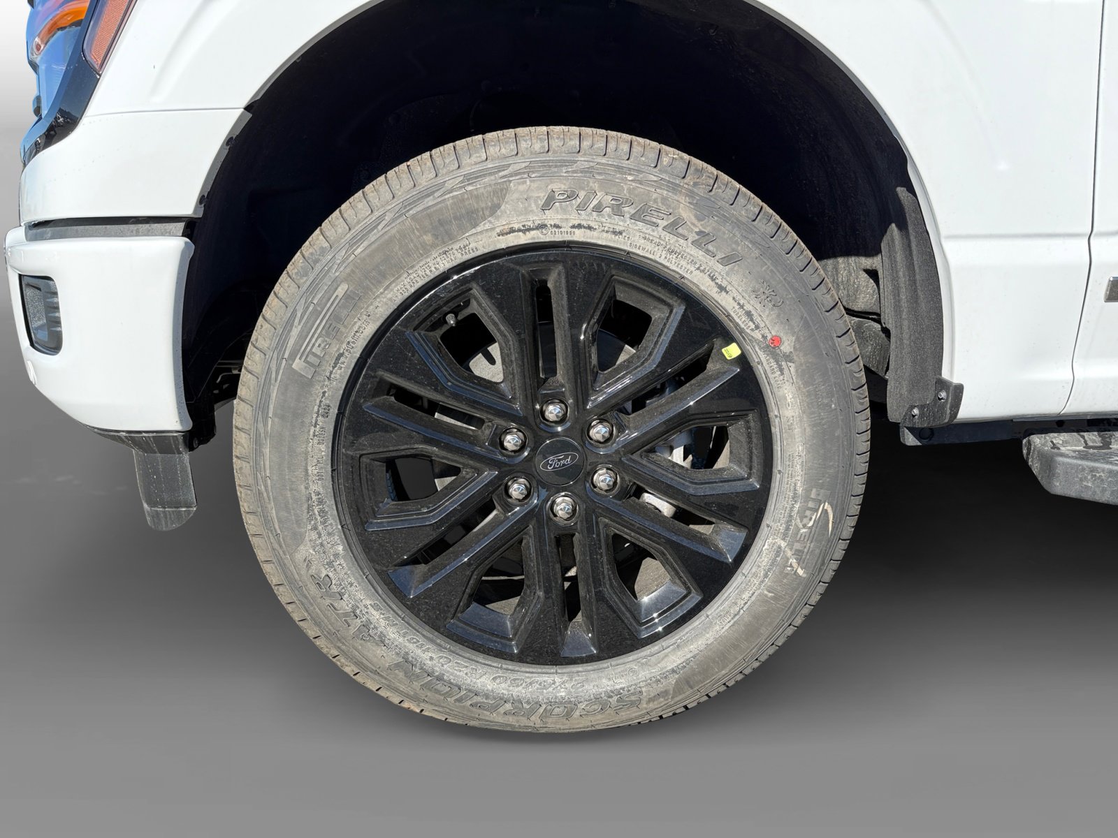 2025 Ford F-150 XLT photo 8
