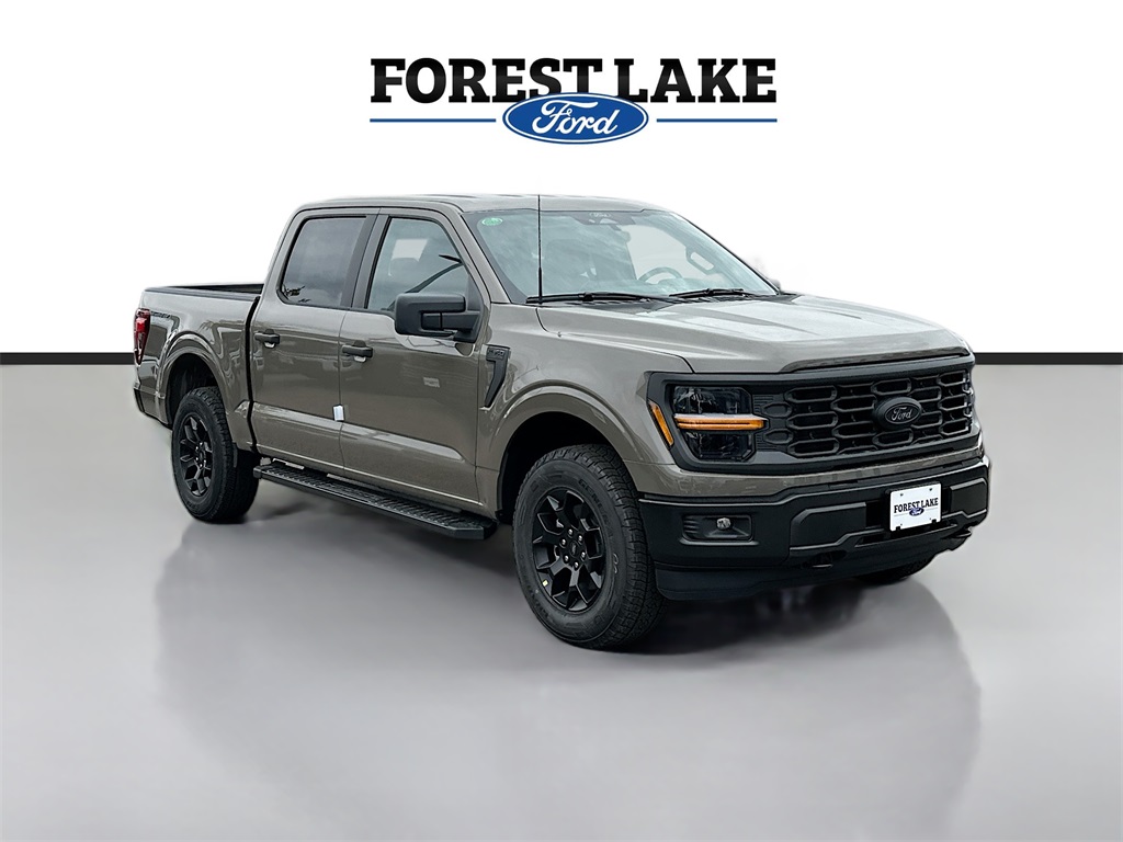 2025 Ford F-150 STX's photo
