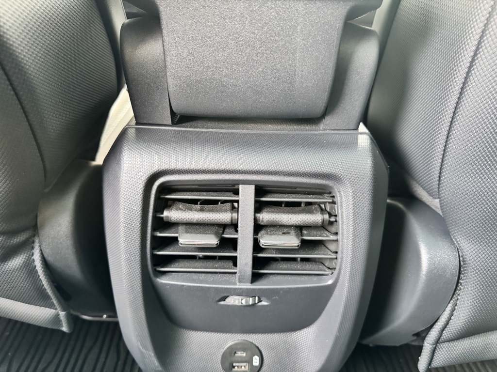 2021 Ford Mustang Mach-E Premium photo 11