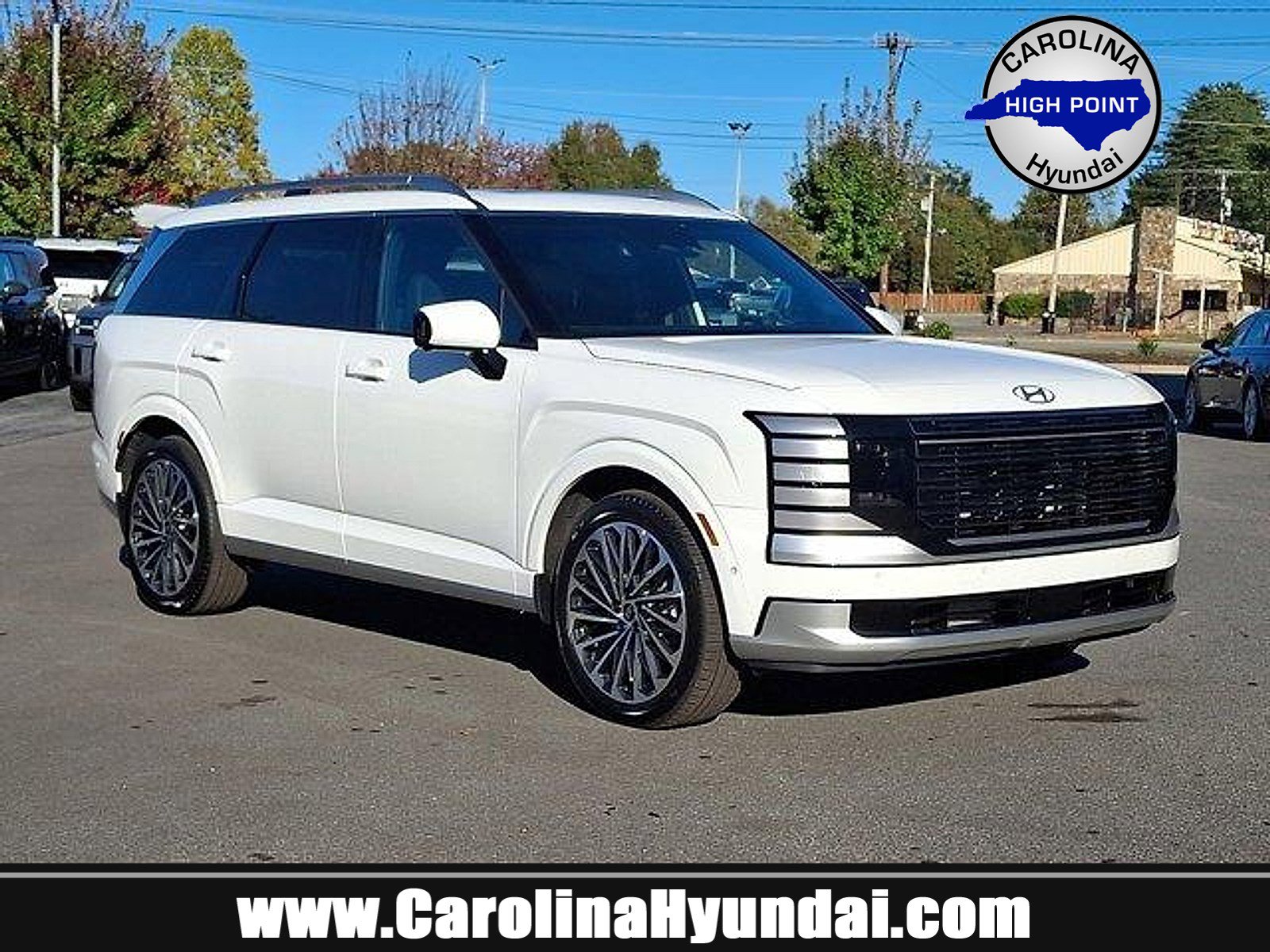 2026 Hyundai Palisade Calligraphy's photo