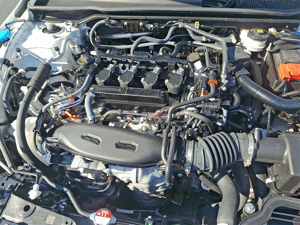 View 29