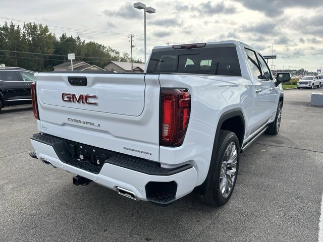 2026 Gmc Sierra 1500 Denali photo 17