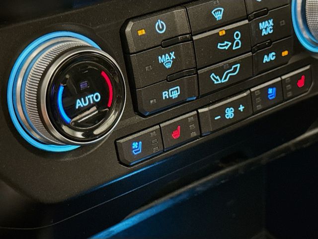 2019 Ford F-150 Platinum photo 18