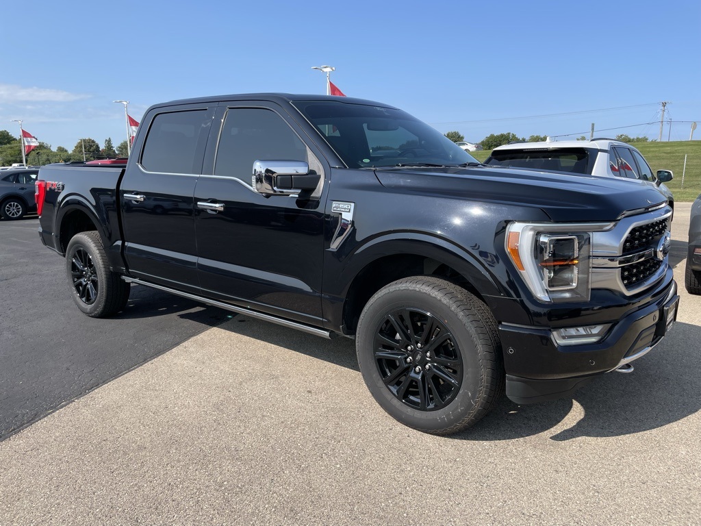 2022 Ford F-150 Platinum photo 2