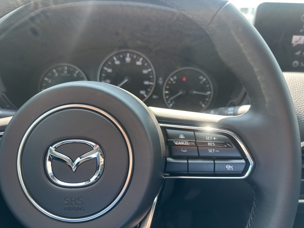 2025 Mazda CX-90 3.3 Turbo Preferred photo 16