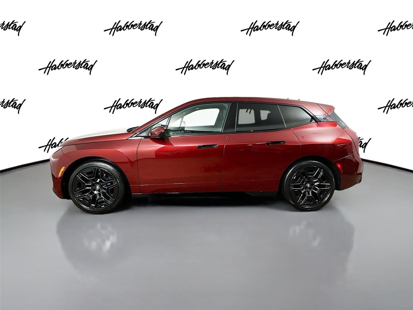 2026 Bmw iX photo 8