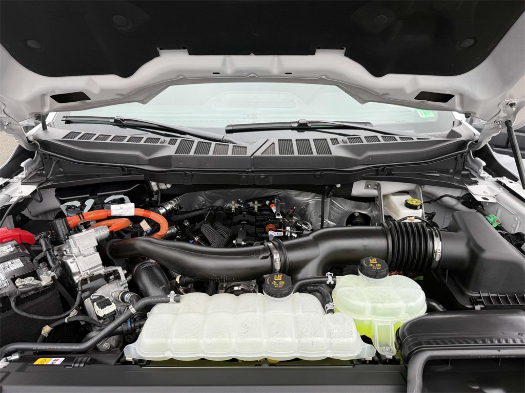 2025 Ford F-150 XLT photo 11