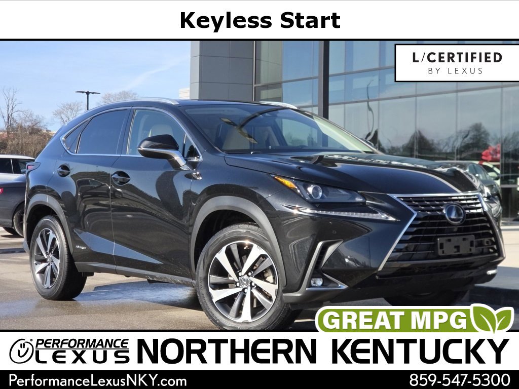 2020 Lexus NX Hybrid 300h's photo