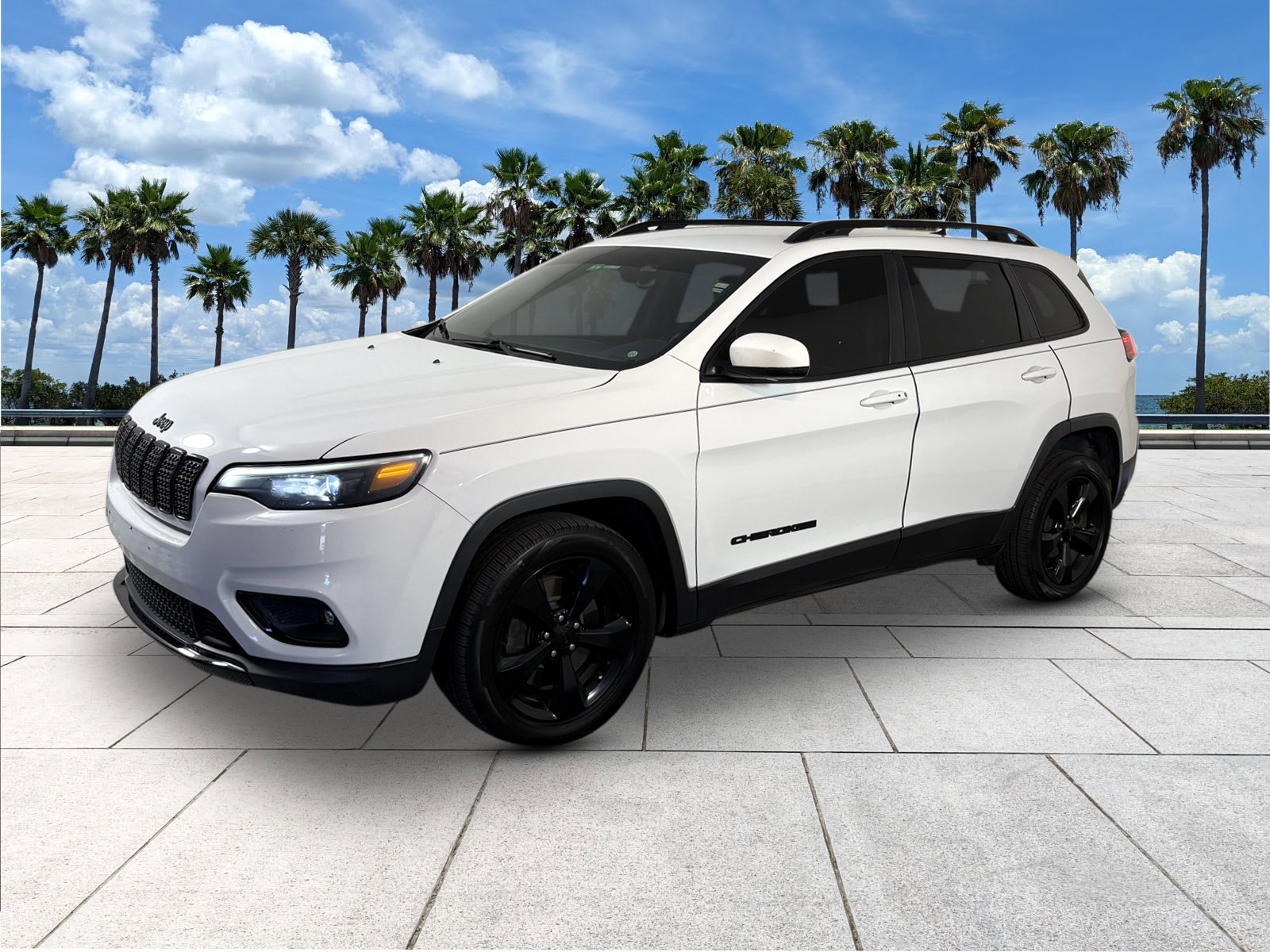 2019 Jeep Cherokee Altitude photo 3