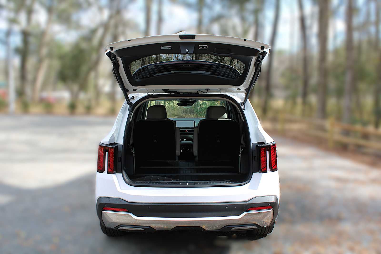 2025 Kia Sorento EX photo 8