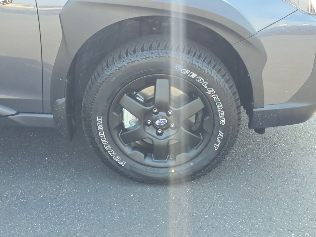 2025 Subaru Outback Wilderness photo 3