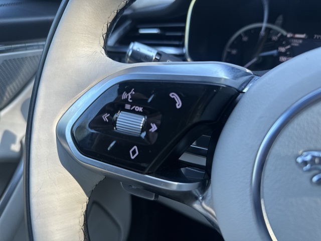2022 Jaguar F-PACE P250 S photo 29