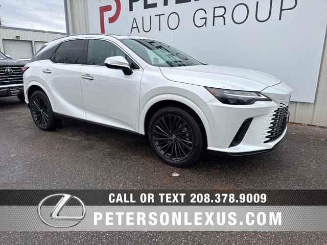 2025 Lexus RX Hybrid 350h's photo