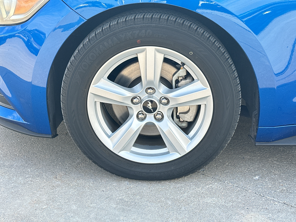 2017 Ford Mustang Base photo 3