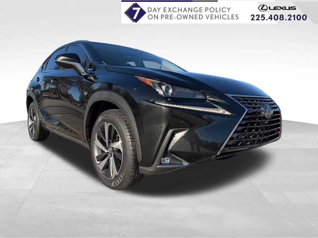 2018 Lexus NX 300's photo