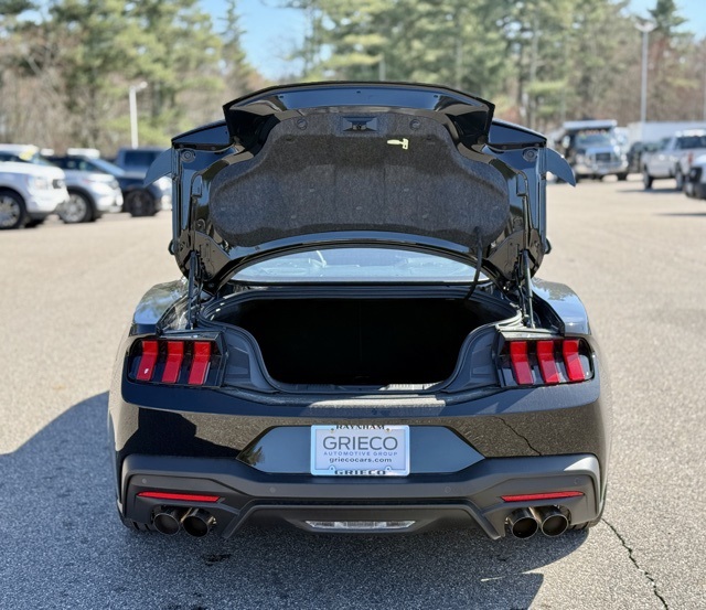 2025 Ford Mustang GT Premium photo 6
