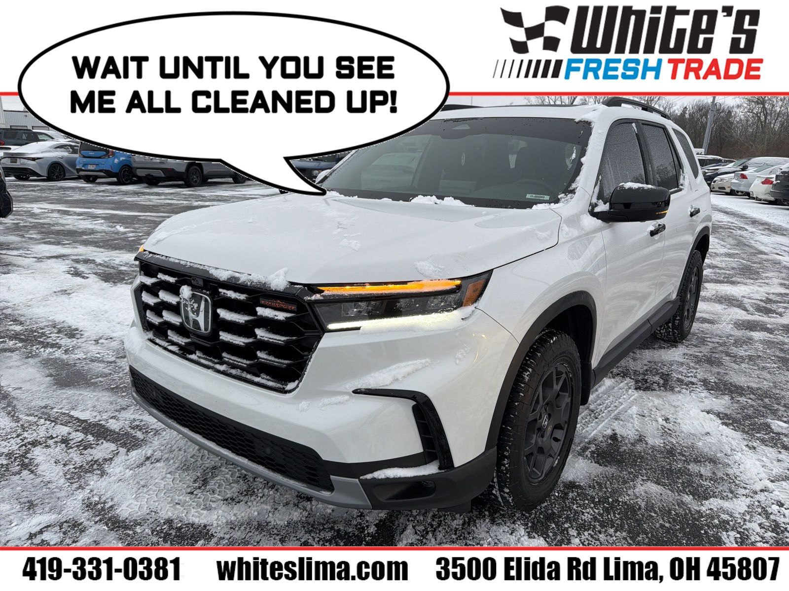 2025 Honda Pilot TrailSport's photo