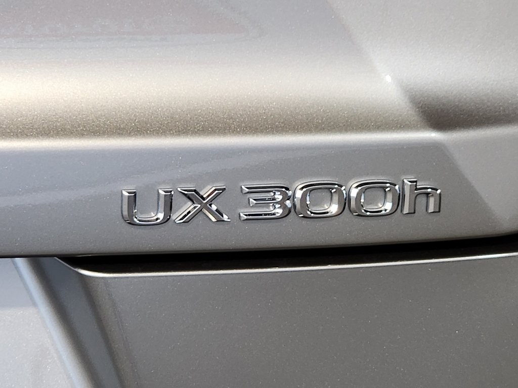 2025 Lexus UX photo 9