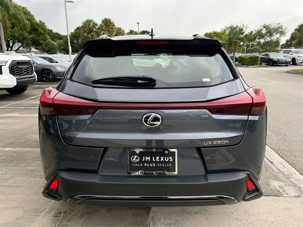 2023 Lexus UX 250h F SPORT Design photo 6