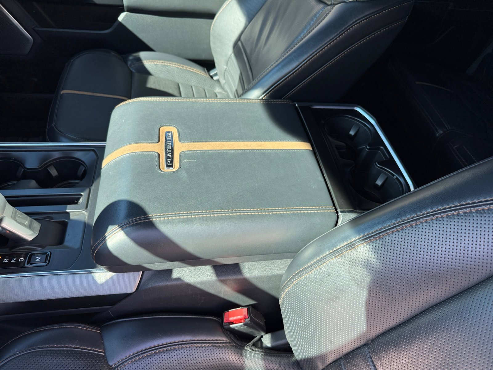 2021 Ford F-150 Platinum photo 14
