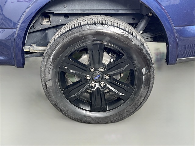 2020 Ford F-150 Platinum photo 33