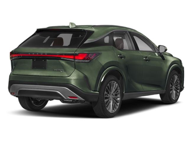 2025 Lexus RX 350h Luxury photo 2