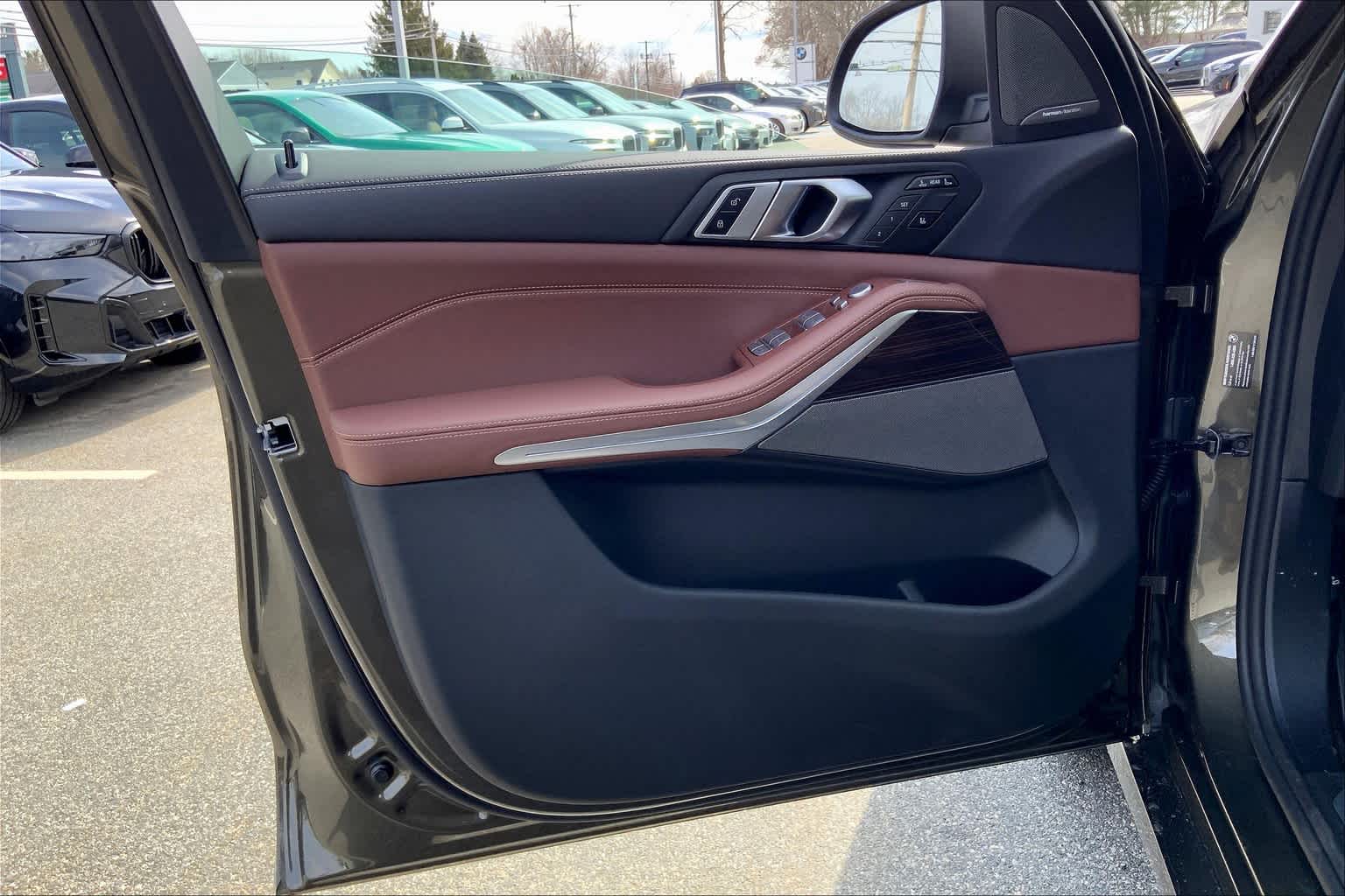 2025 Bmw X7 xDrive40i photo 10