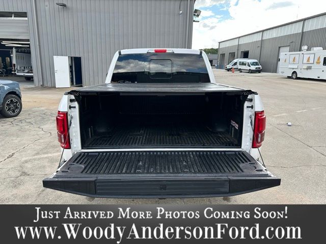 2016 Ford F-150 Platinum photo 4