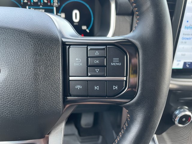 2022 Ford F-150 Platinum photo 23