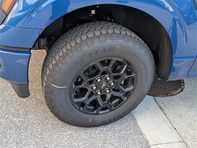 2025 Ford F-150 STX photo 5