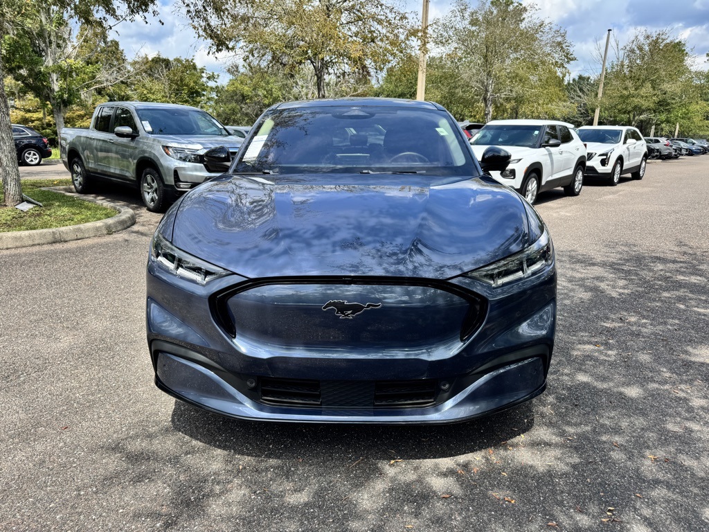 Used 2021 Ford Mustang Mach-E Premium RWD with VIN 3FMTK3RM9MMA35696 for sale in Gainesville, FL