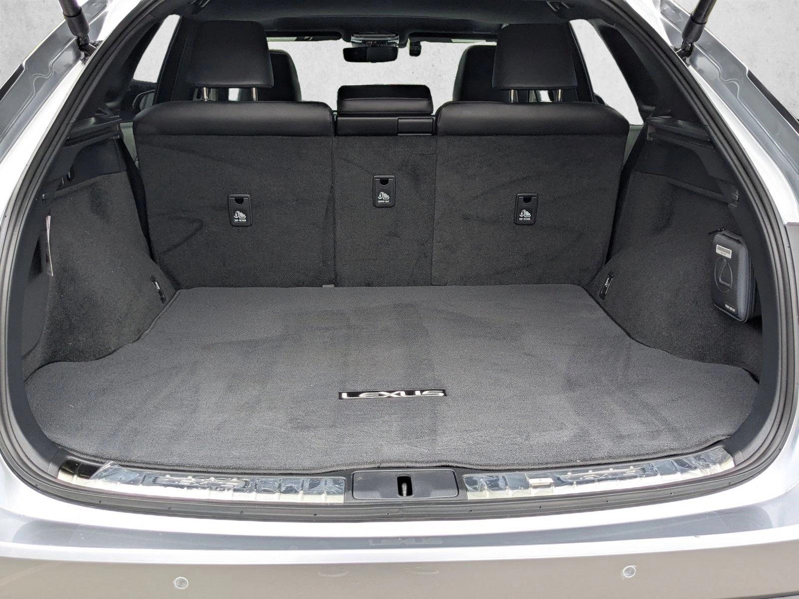 2024 Lexus RX 350h Premium photo 6