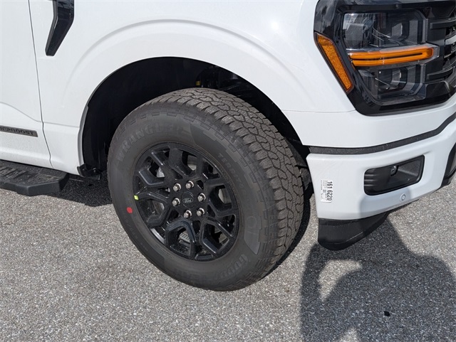 2025 Ford F-150 XLT photo 3