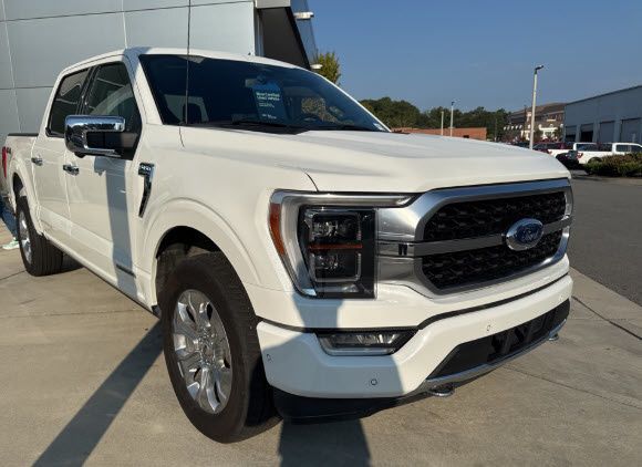 2022 Ford F-150 Platinum's photo