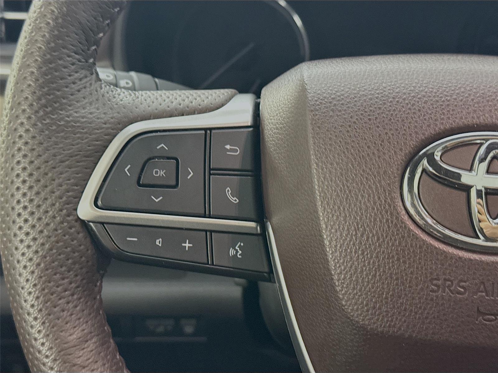 2023 Toyota Sienna Platinum photo 15