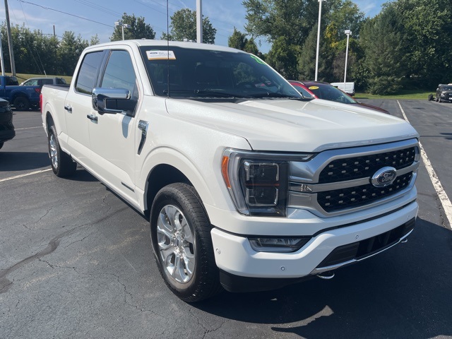 2023 Ford F-150 Platinum photo 3