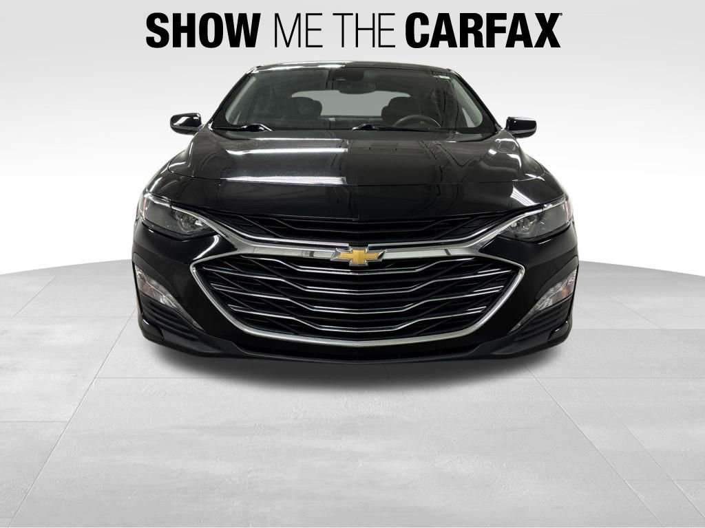 2023 Chevrolet Malibu 1LT photo 3