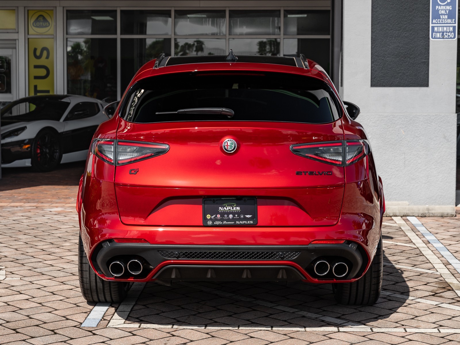 2024 Alfa Romeo Stelvio Quadrifoglio photo 19