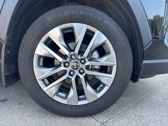 2023 Toyota RAV4 XLE Premium photo 4