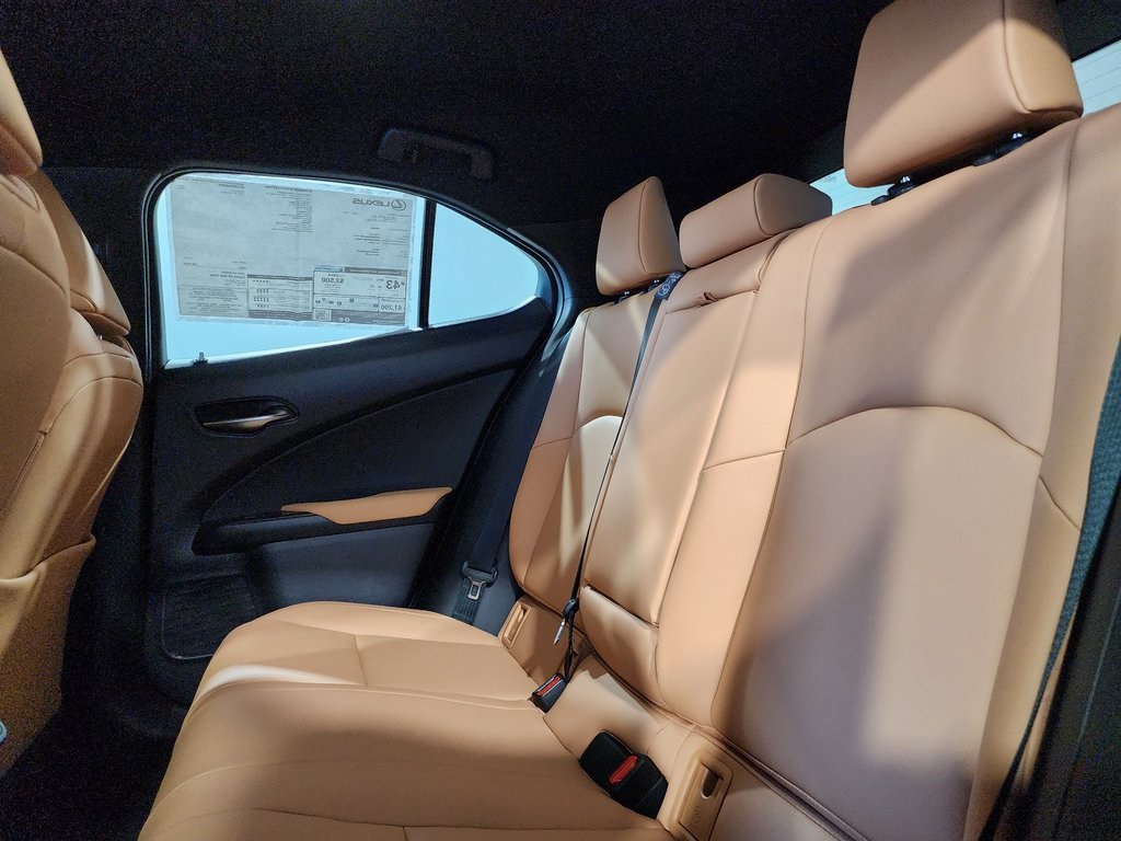 2025 Lexus UX photo 24