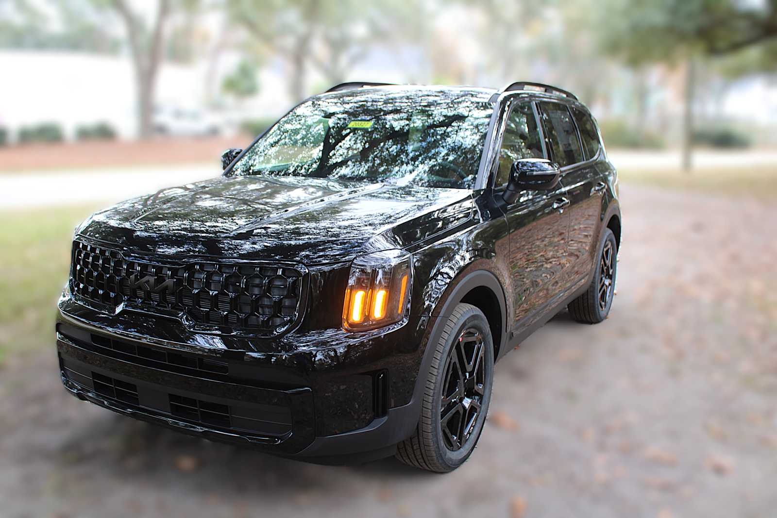 2025 Kia Telluride EX X-Line photo 16