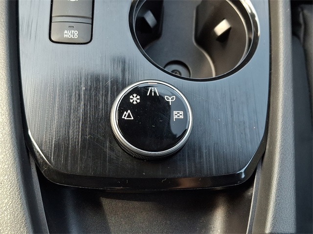 2021 Nissan Rogue SV AWD photo 28