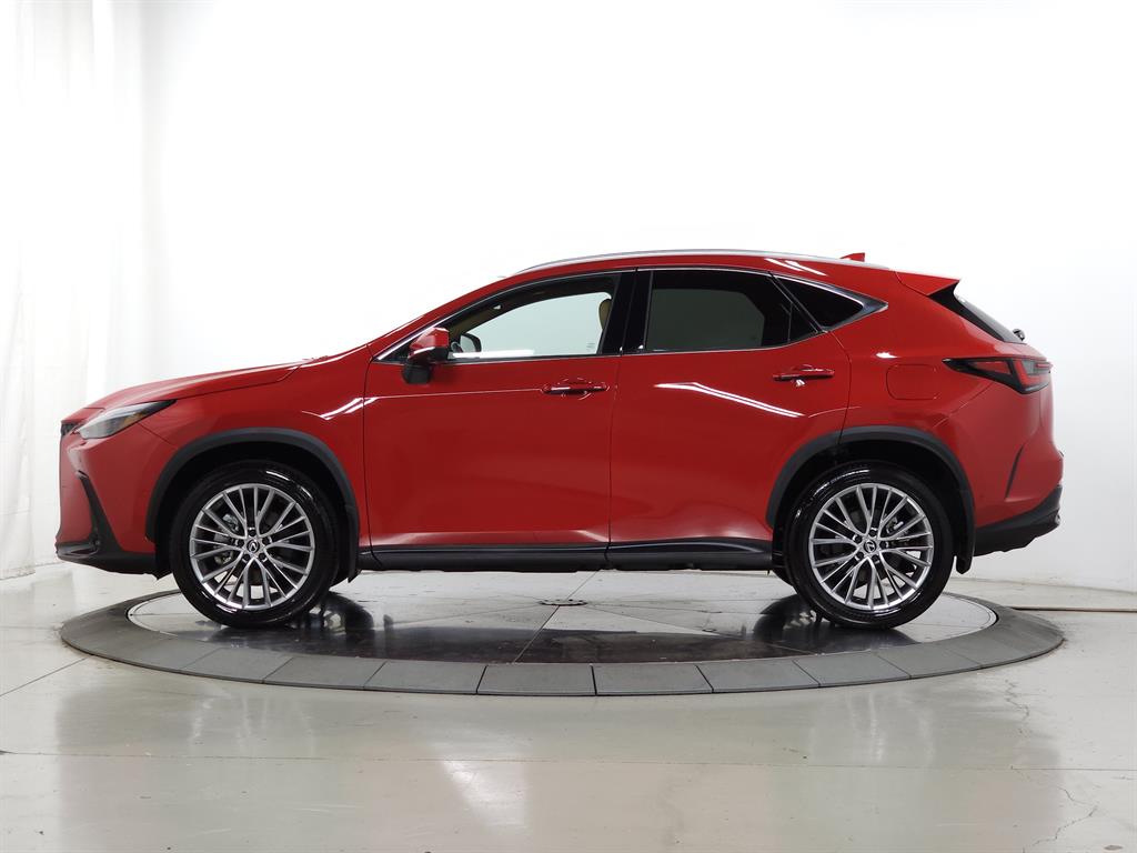 2025 Lexus NX 350h Luxury photo 4