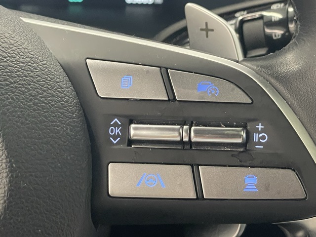 2024 Hyundai Palisade Calligraphy photo 18