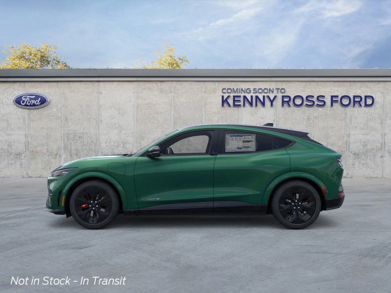 2025 Ford Mustang Mach-E GT photo 3