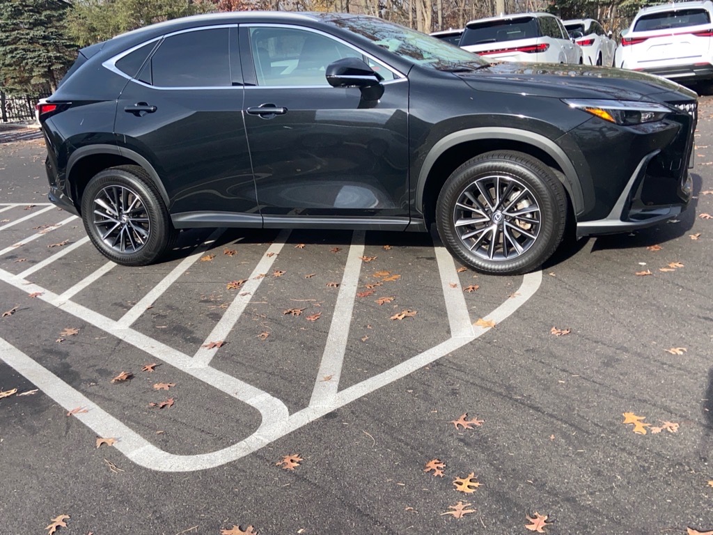2024 Lexus NX 350's photo