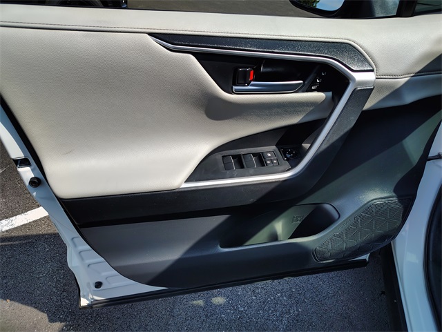 2019 Toyota RAV4 Limited photo 10