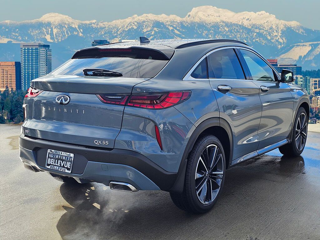 2025 Infiniti QX55 Luxe photo 5