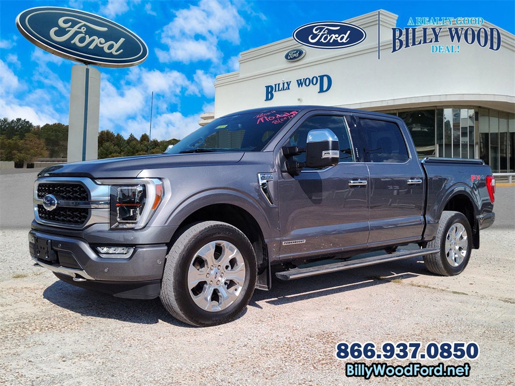 2021 Ford F-150 Platinum's photo